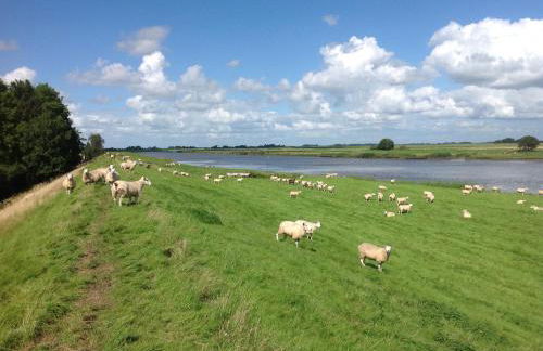 Ferienhaus-Hemmerdeich an der Eider - Foto 28