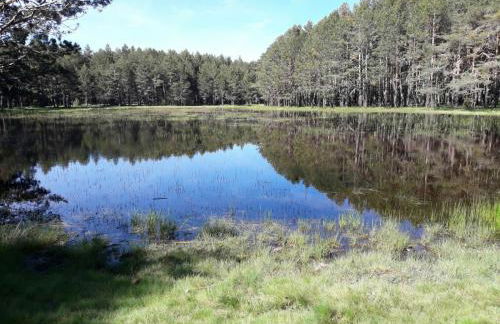 La Pérgola Internet Fibra Garage Calefacción TV - Foto 33