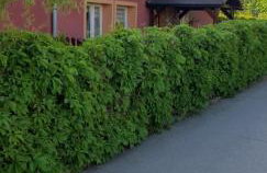 Apartament u Janiny - Foto 1