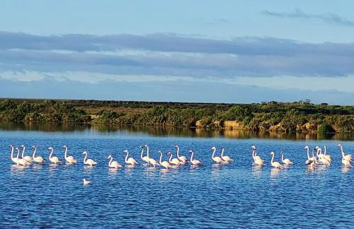 Village Marina - Foto 3