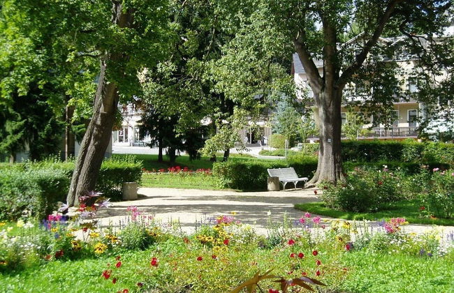 Ferienwohnungen Elsterblick - Foto 16