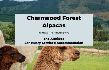 The Aldridge 2 Bedroom Apartment with FREE Parking - Foto 20