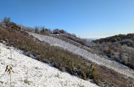 Vlaškovec Experience - Photo 5