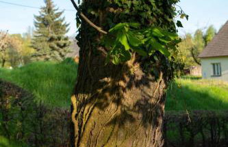 Holiday Home mit Wasserblick by Interhome - Foto 25