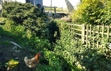 Scorrabrae Orphir Mainland Orkney South Shore Retreat - Photo 57