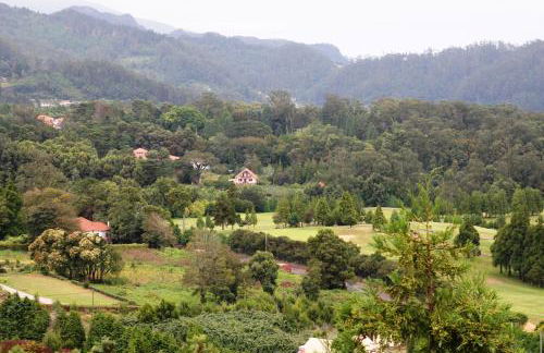 Bio Quinta do Pantano, Agro Turismo - Foto 30