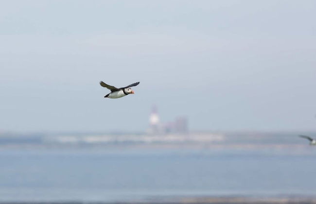 Host Stay Seafarers - Foto 14