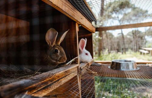 La BERBENA casa rural en el campo - Foto 9