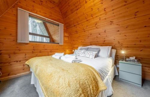 Woodpecker - Photo 33