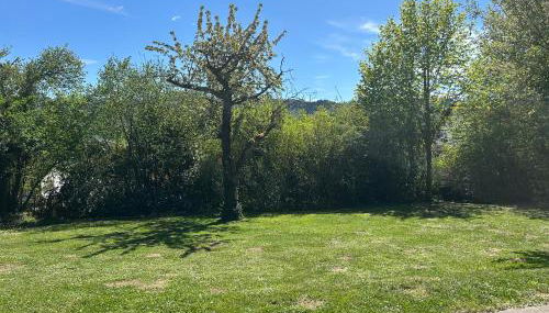 Garten Wohnung - Foto 5, Garden view