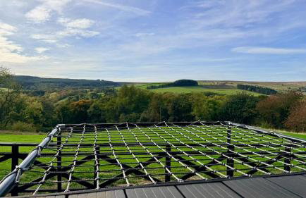 The Squirrel - Foto 10