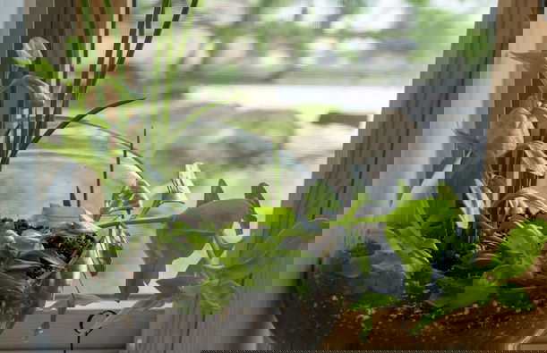 Ithaca Boat House - Foto 16