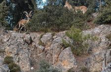 Xenia Alojamientos - Foto 68