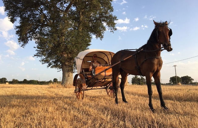 Tenuta Suite 801 - Foto 12