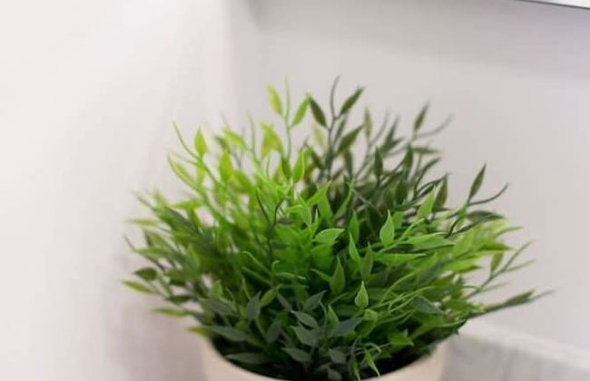 Stylish & Unique 3 Bdr Flat With Parking! - Foto 63