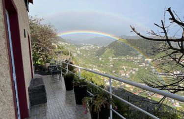 Tropical House - Foto 20