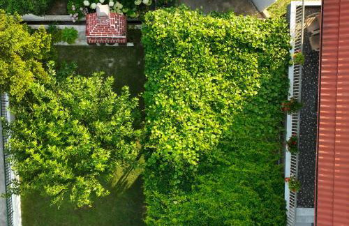 Xrysa's House - Foto 22