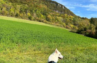 Ländliche Fewo Wildblume, 4 km zum Stausee - Foto 25