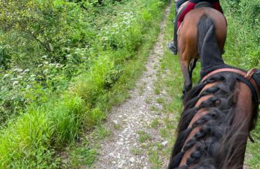 Apartments ideaCasa - Foto 9