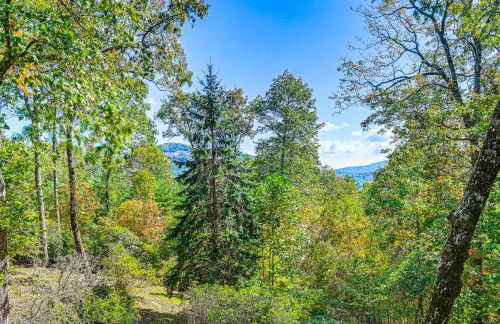 3 Mi to Crossroads Mtn-View Cottage in Cashiers - Foto 28