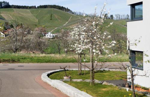 Kölsch-Marie - Foto 24