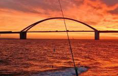 Haus-Fehmarn-am-Dorfteich-|-Wohnung-2-West - Foto 30