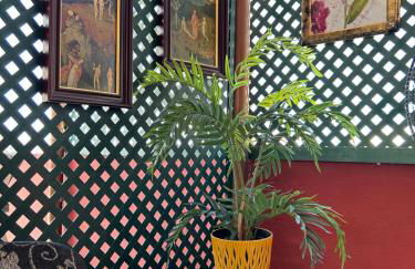 DREAM WISH - Foto 24