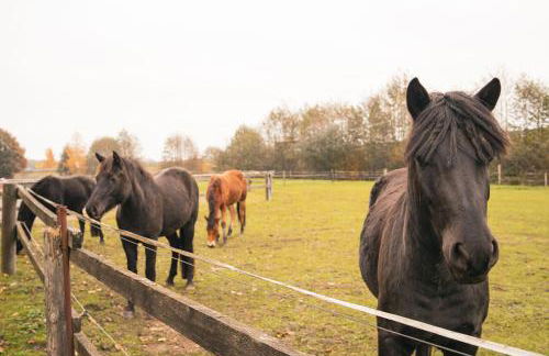 select2stay - Business Apartments - Foto 72