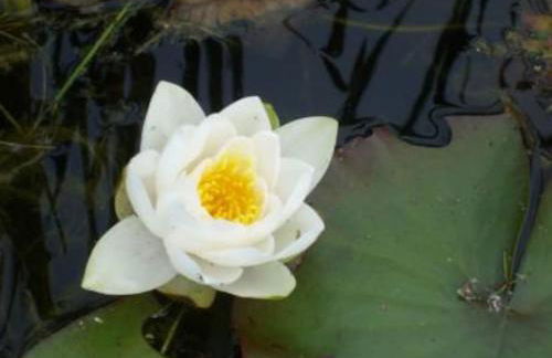 The Cwtsh at Ffynnon Clun: unique. - Photo 20