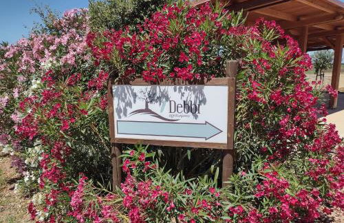 Agriturismo I Debbi - Foto 62