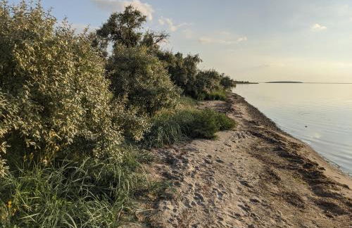 Salzhaff 4 You - Foto 30