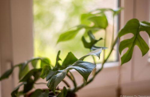 Studio calme et cosy avec parking - Ty ar Gwilen - Foto 9