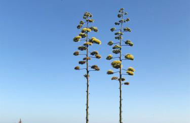 Marbella - Estepona beach frontline apartment - Photo 25