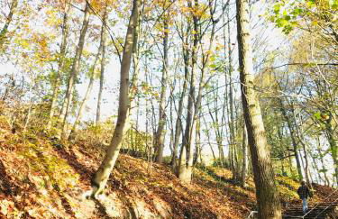 Urlaub am Elbstrand - Wohnung in Blankenese mit Naturblick - Foto 16