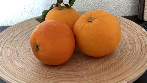 Ferienwohnung Beyer Friedrichroda - Foto 4