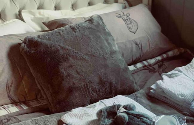 Cute and Cosy Shepard hut With Wood Fuel hot tub - Foto 4