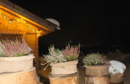 Mini Maule - Foto 16