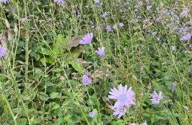 Corriemuckloch Unique Huts - Foto 38