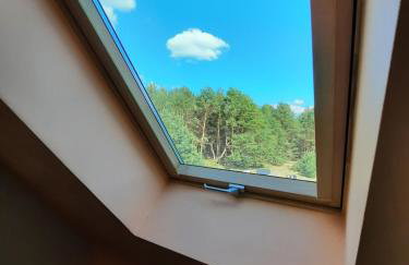 Domek do wynajęcia - Siedlisko przy lesie - Foto 33