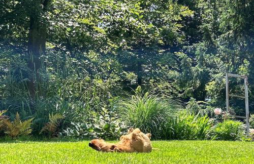 Cozy Appartment - Foto 18