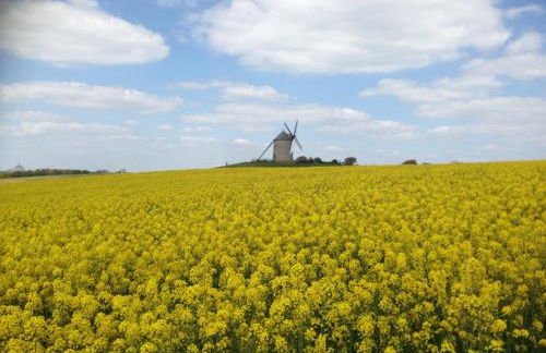 La Greve Saint Michel - Foto 40