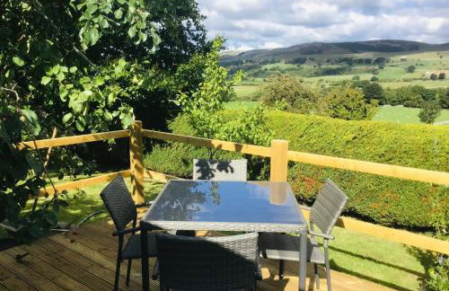 The Hut in the Orchard @ Yorecroft - Photo 13
