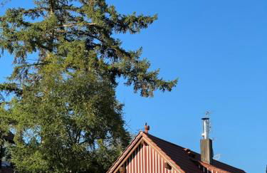 Pia's Nature Retreat - Foto 124