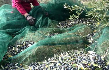 Casa Ricciardi - Foto 55