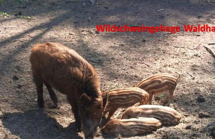 Ferienwohnung Jung - Foto 31