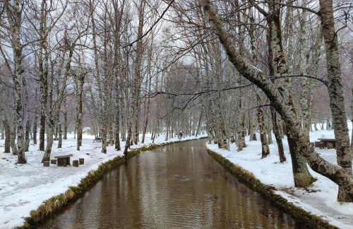 zélu apartamento centro da Guarda - Foto 31