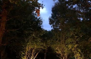 The Hive - beautiful studio with amazing hot tub - Foto 13