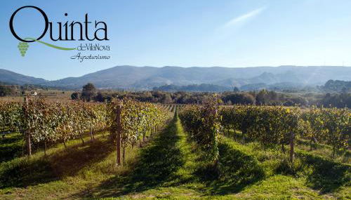 Quinta De Vila Nova - Agroturismo - Photo 2