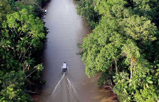 Paseo en barco por la isla de Combú - Foto 1