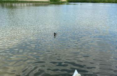 Disneyland Paris, vallée village ,Paris , villa, garden , Syline Home, 120 m2 - Foto 30